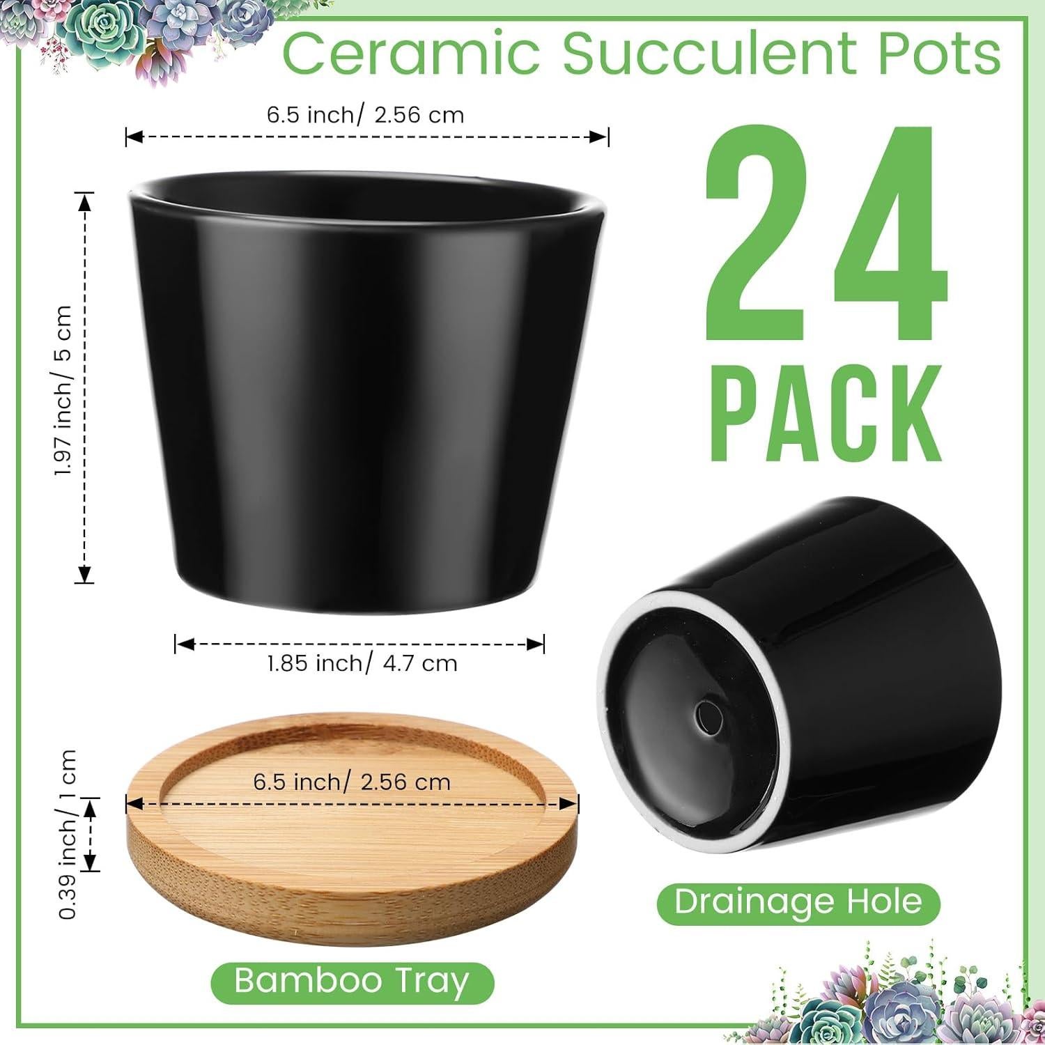 Hsei Paquete de 24 Macetas Mini Cerámica 6.4 cm con Bandeja