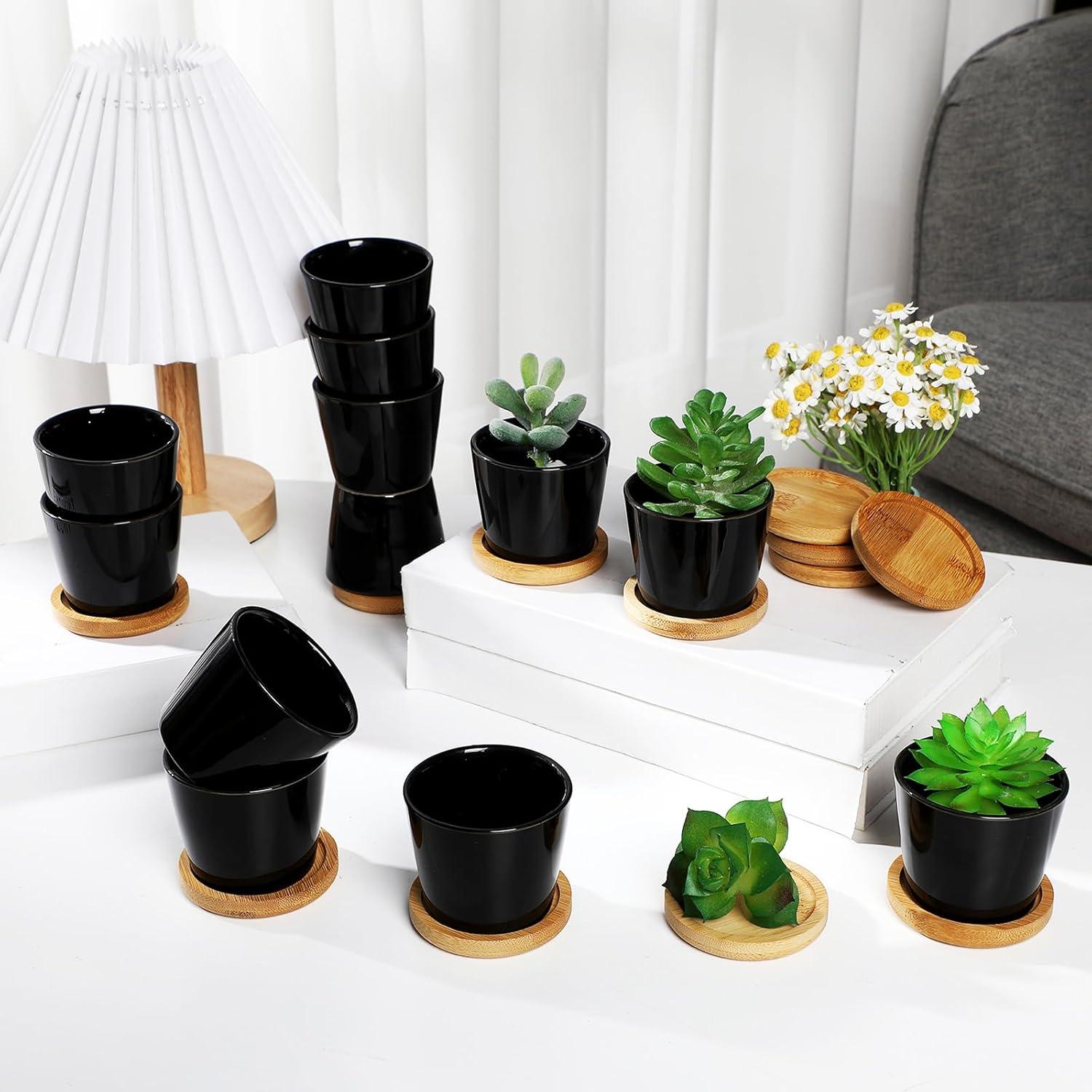 Hsei Paquete de 24 Macetas Mini Cerámica 6.4 cm con Bandeja