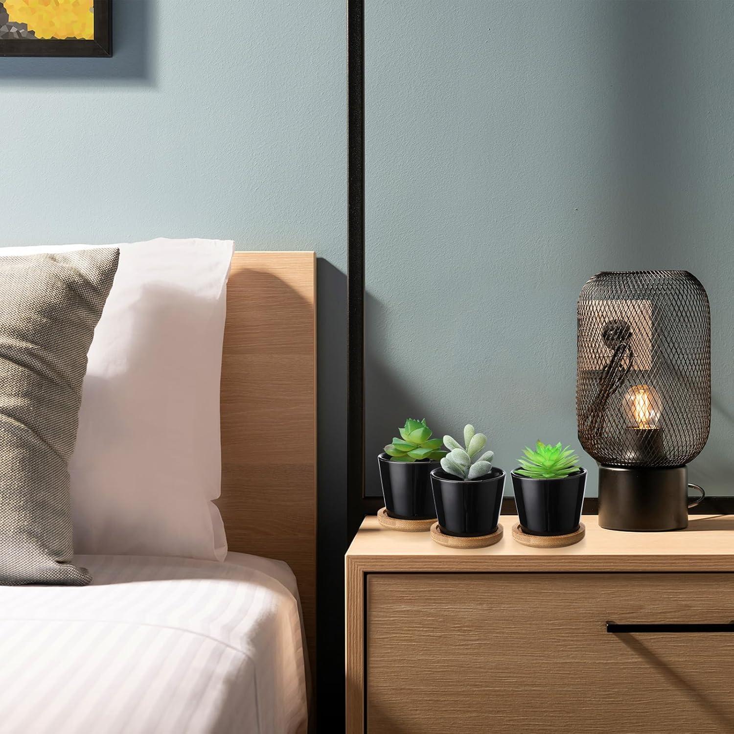 Hsei Paquete de 24 Macetas Mini Cerámica 6.4 cm con Bandeja