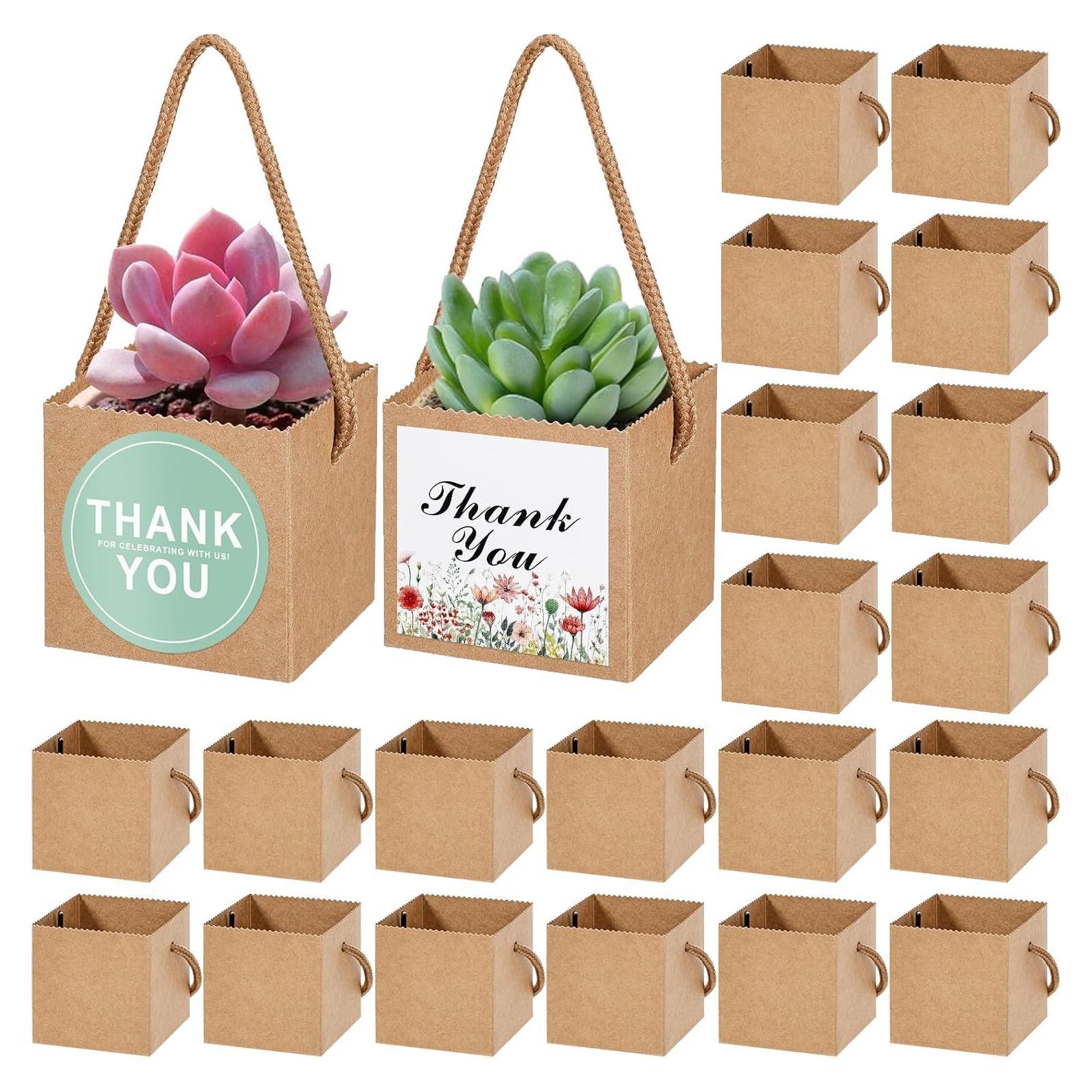 KesaPlan 50 Bolsas de Envoltura para Suculentas 6x6 cm