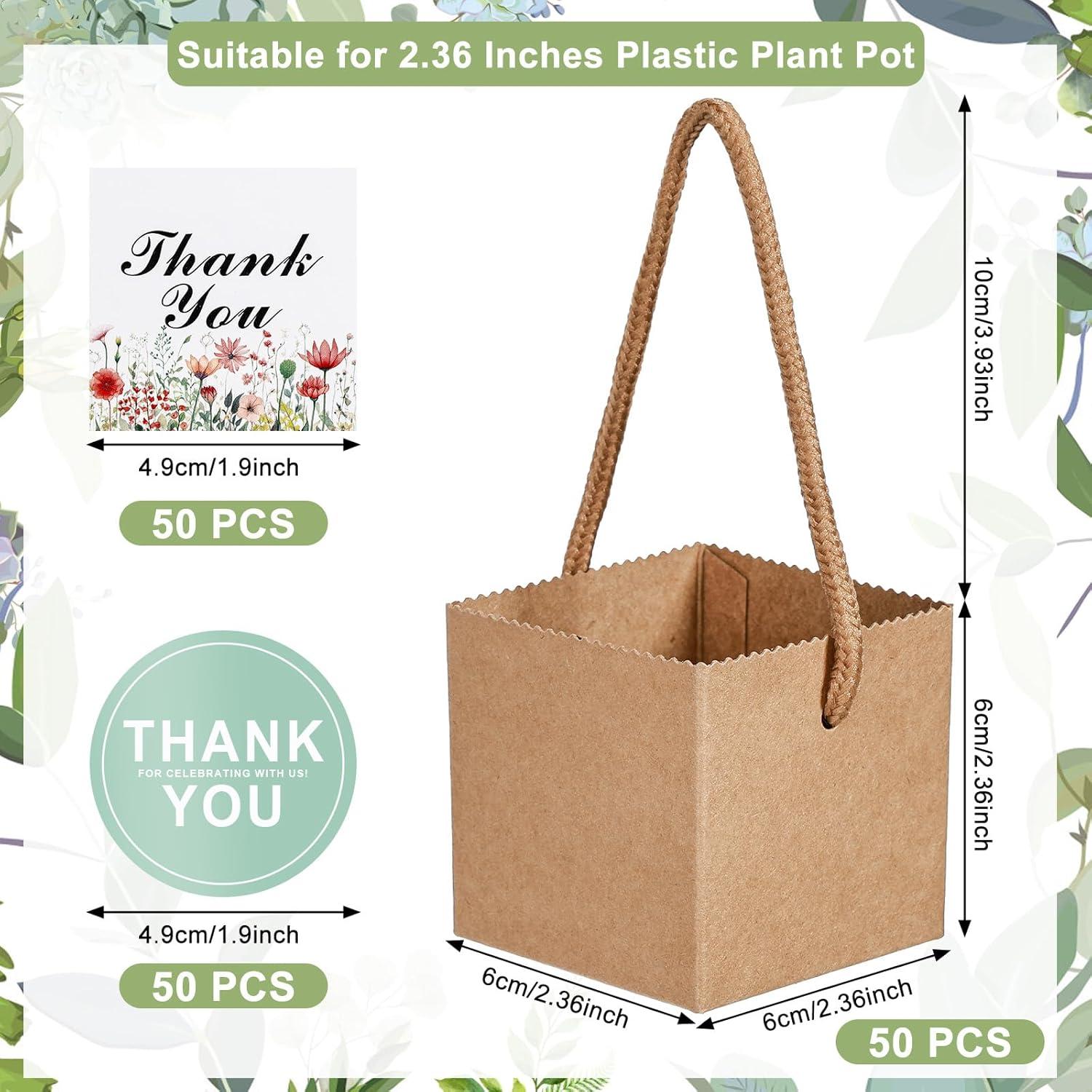 KesaPlan 50 Bolsas de Envoltura para Suculentas 6x6 cm