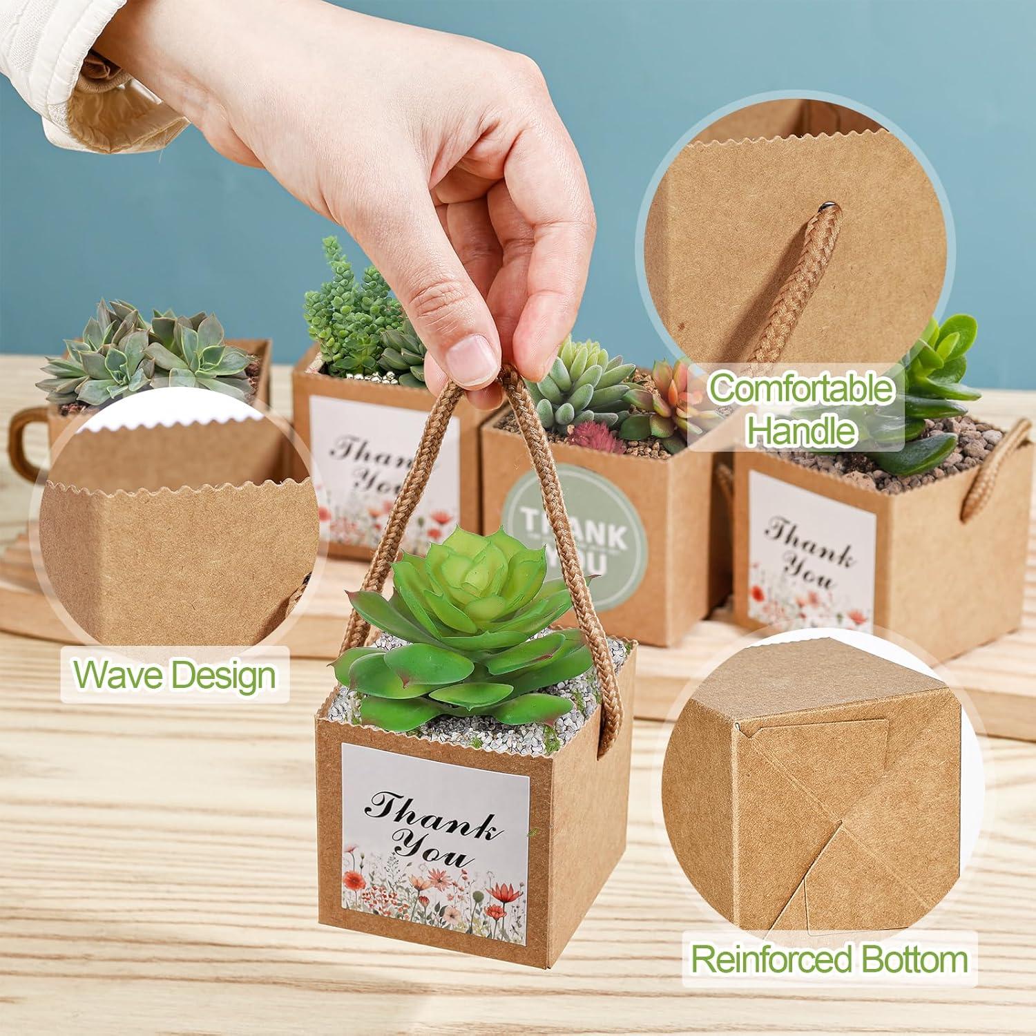 KesaPlan 50 Bolsas de Envoltura para Suculentas 6x6 cm