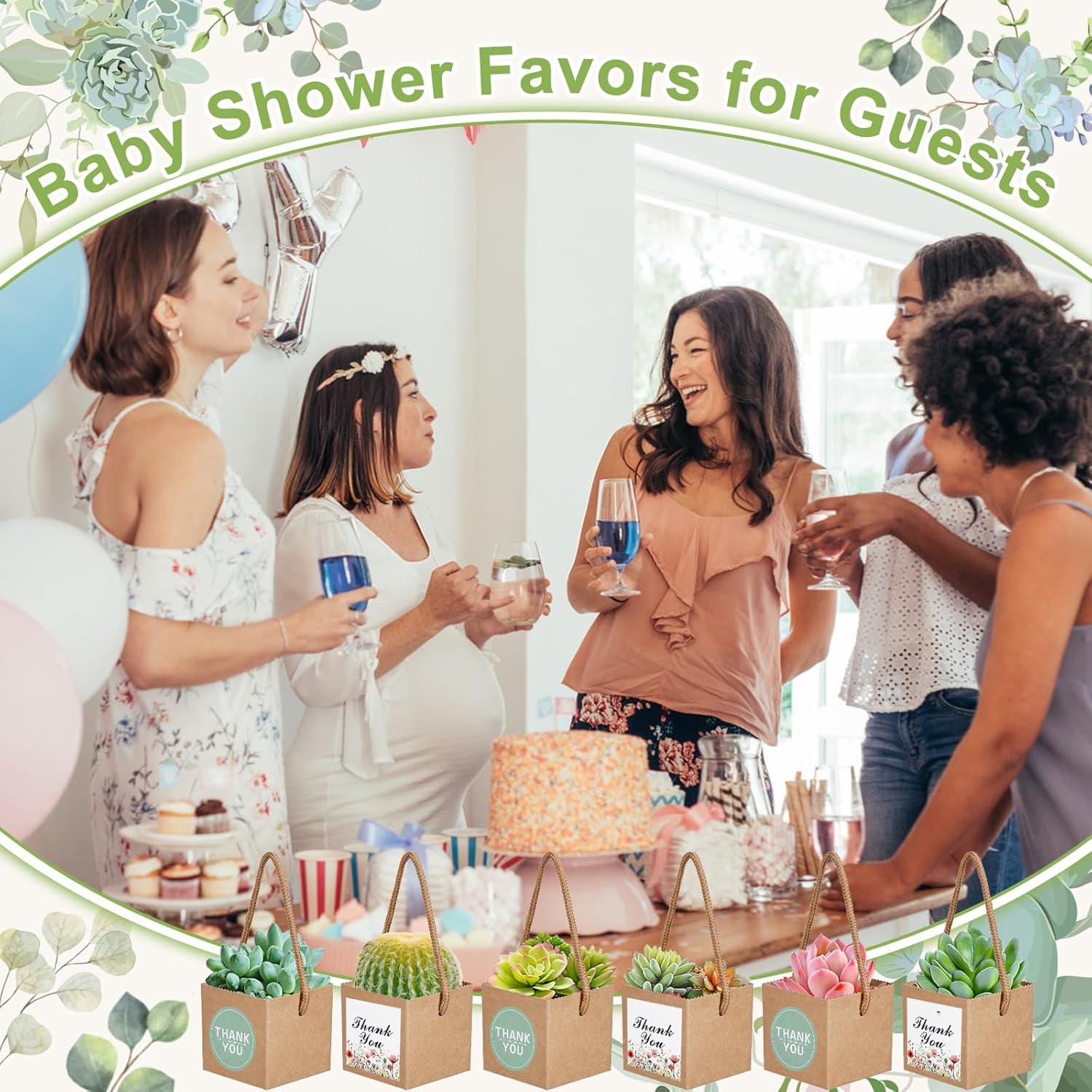 KesaPlan 50 Bolsas de Envoltura para Suculentas 6x6 cm