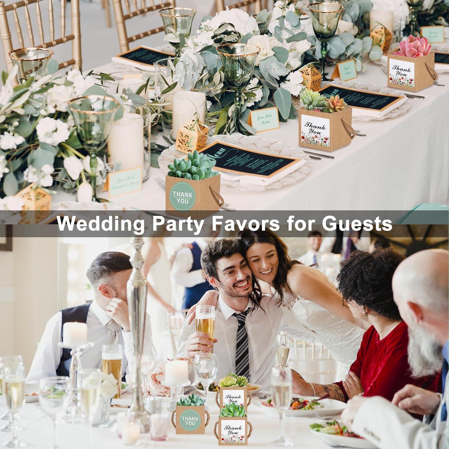 KesaPlan 50 Bolsas de Envoltura para Suculentas 6x6 cm