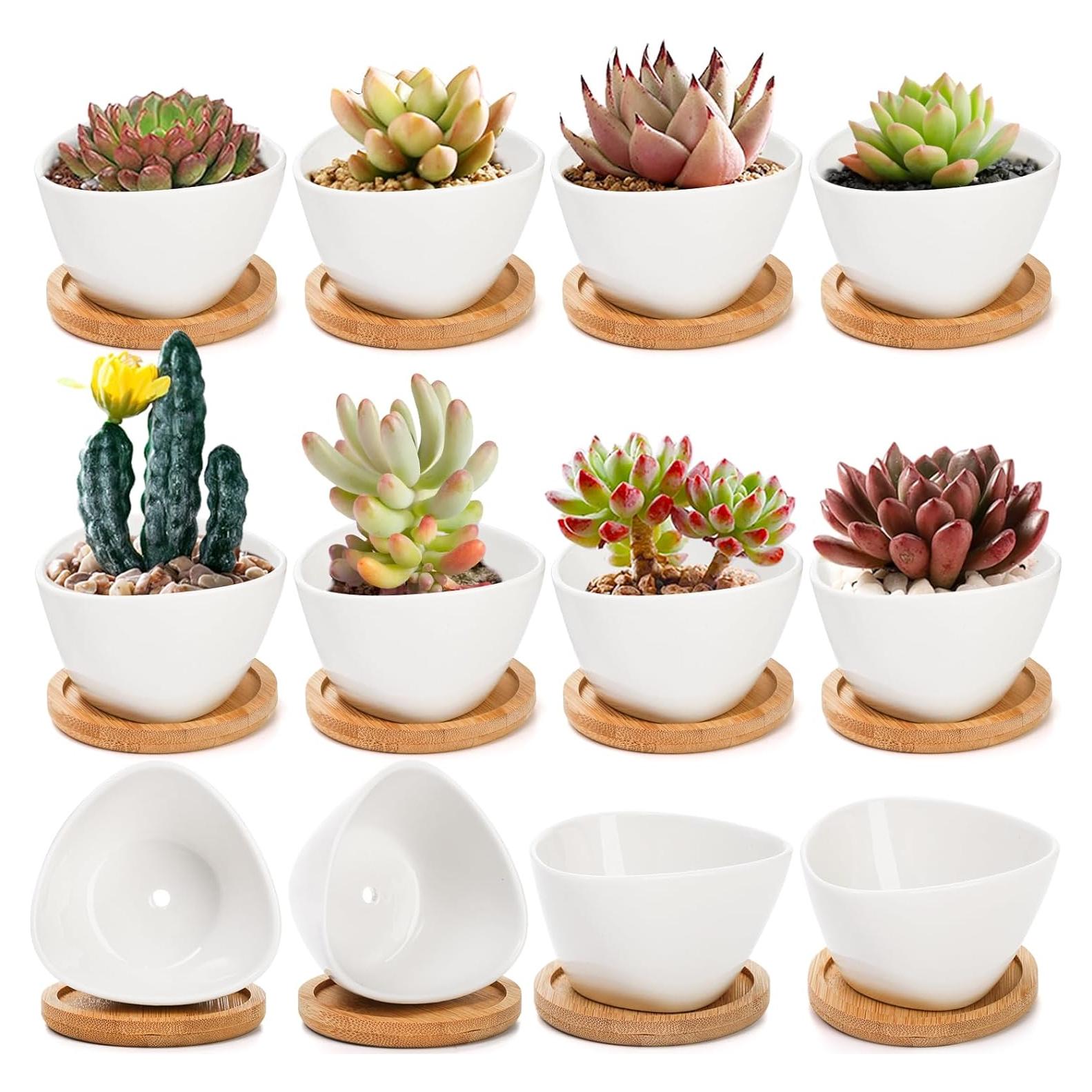Foraineam 12 Mini Macetas Cerámica Blancas con Bandeja Bambú