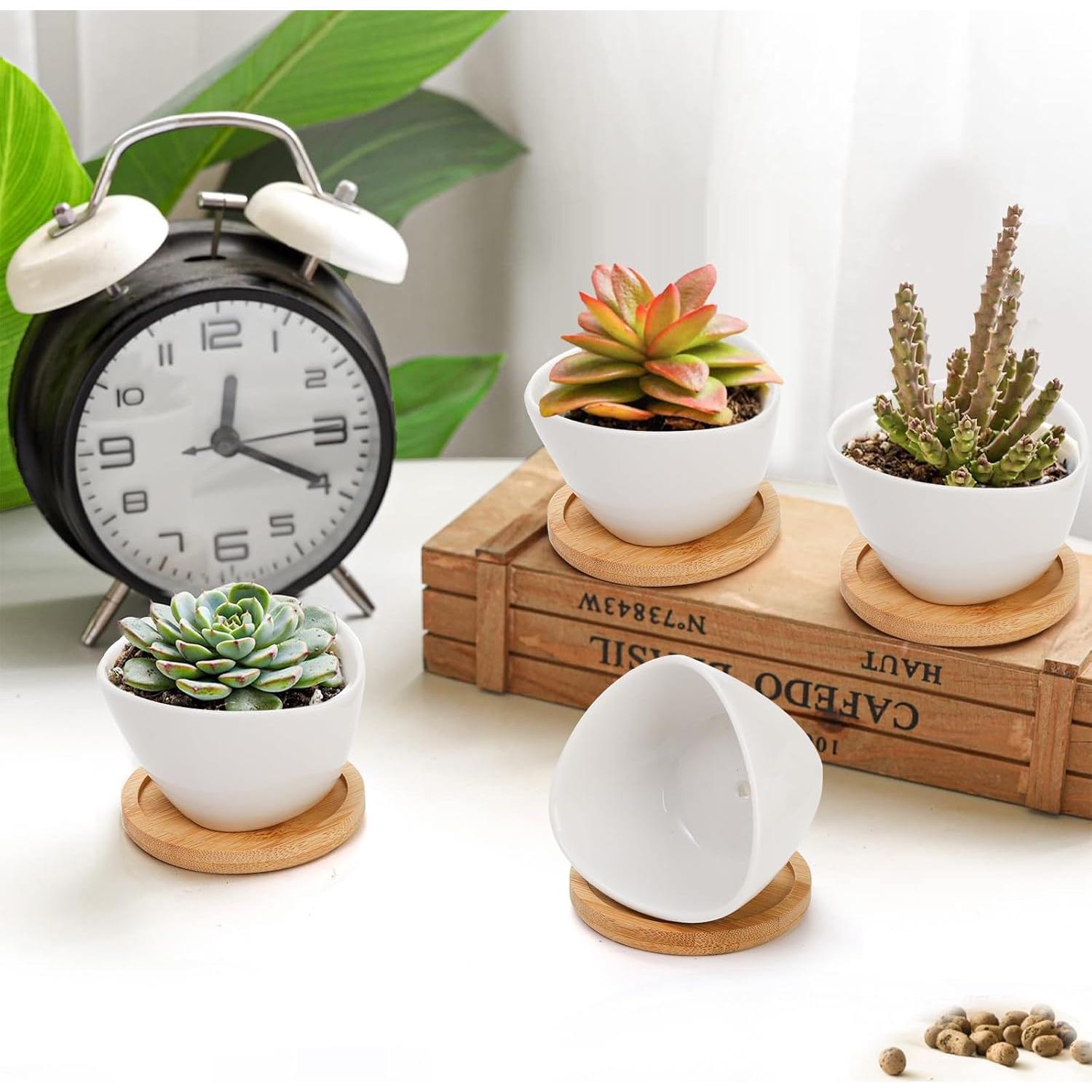 Foraineam 12 Mini Macetas Cerámica Blancas con Bandeja Bambú