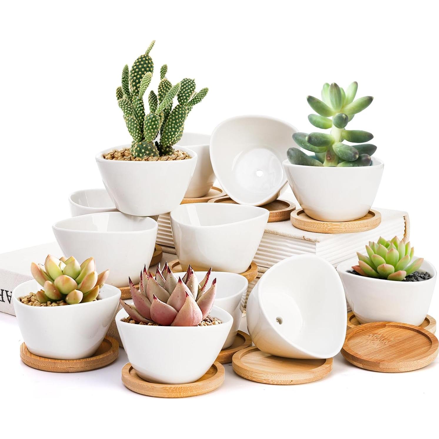 Foraineam 12 Mini Macetas Cerámica Blancas con Bandeja Bambú
