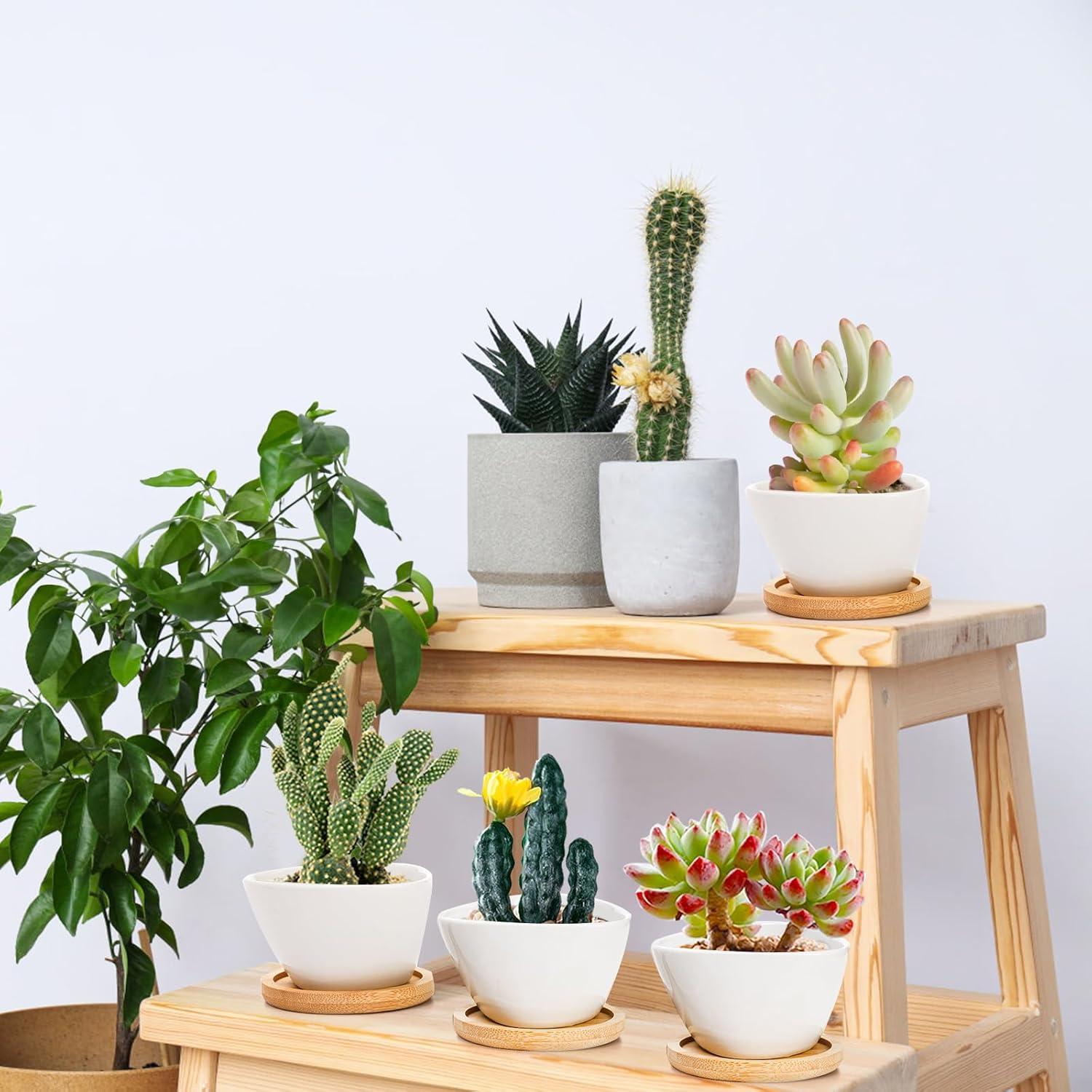 Foraineam 12 Mini Macetas Cerámica Blancas con Bandeja Bambú