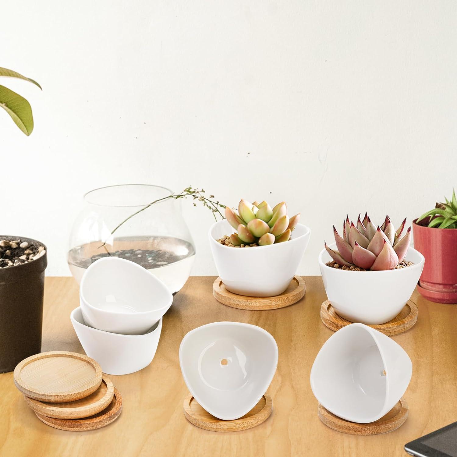 Foraineam 12 Mini Macetas Cerámica Blancas con Bandeja Bambú