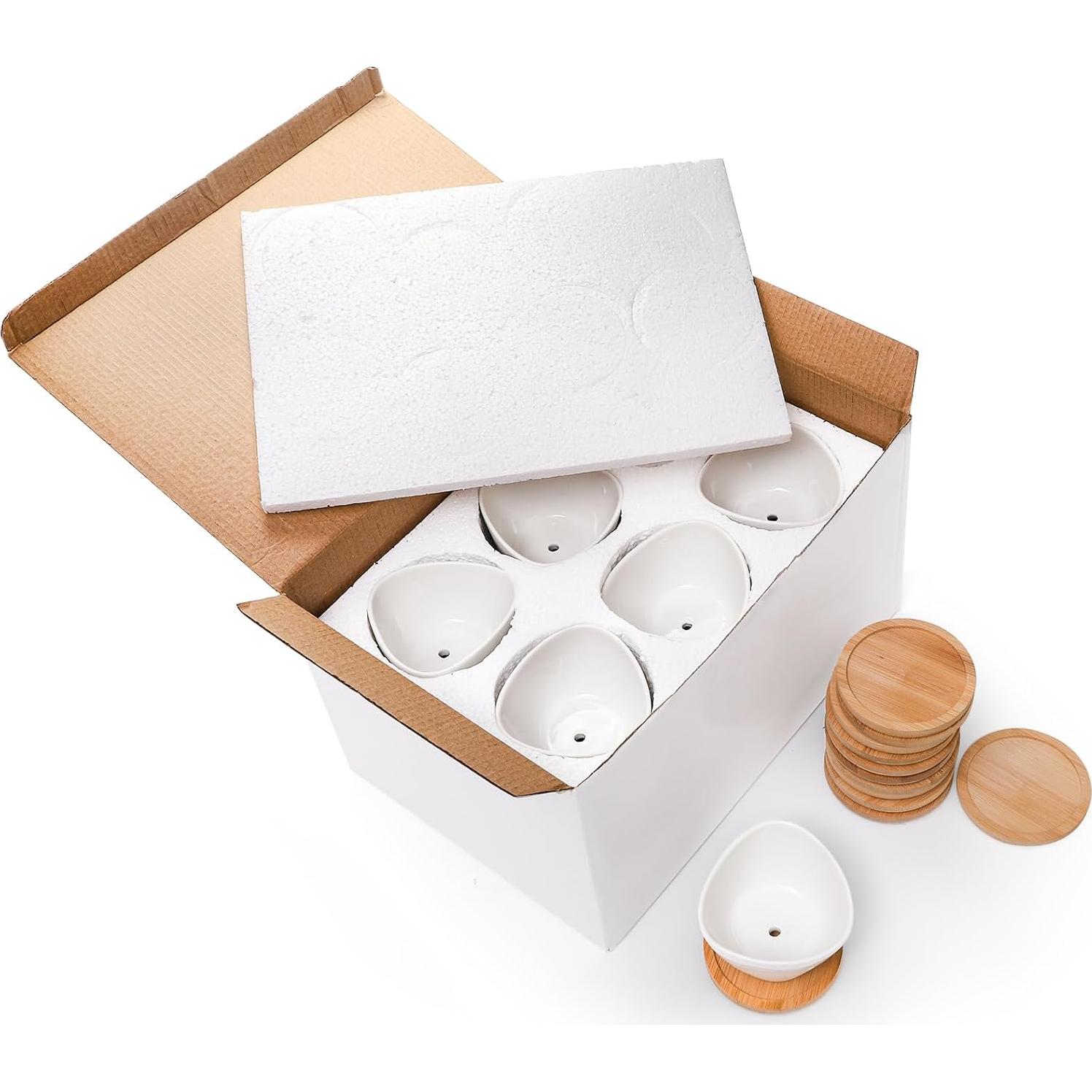 Foraineam 12 Mini Macetas Cerámica Blancas con Bandeja Bambú