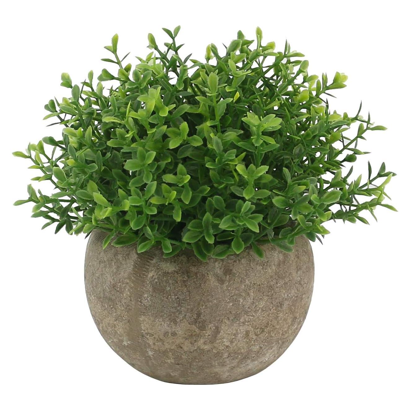 Mini Plantas Falsas Ogrmar en Maceta de Cerámica 11.9 cm