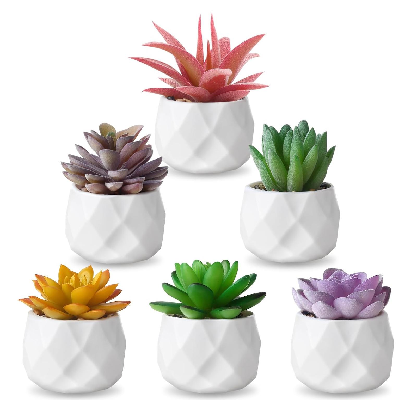 Conjunto de 6 Plantas Suculentas Artificiales ZINHO Decorativas