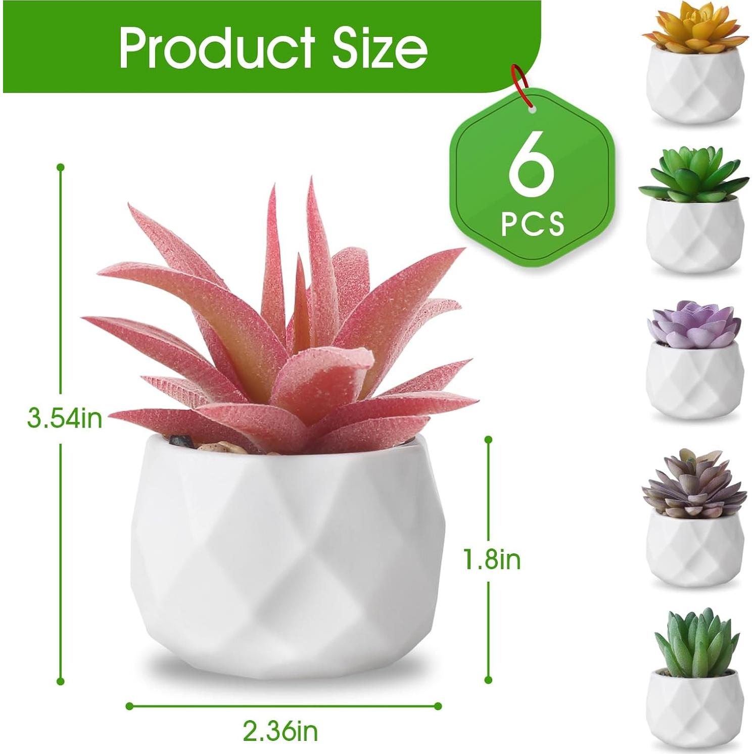 Conjunto de 6 Plantas Suculentas Artificiales ZINHO Decorativas