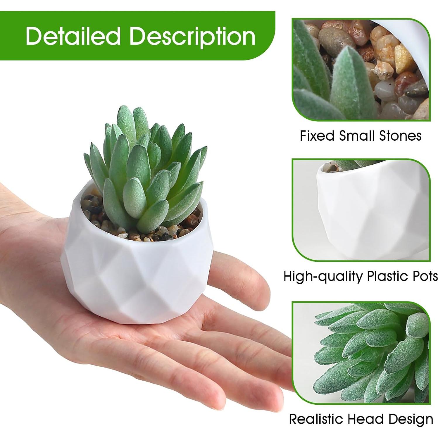 Conjunto de 6 Plantas Suculentas Artificiales ZINHO Decorativas