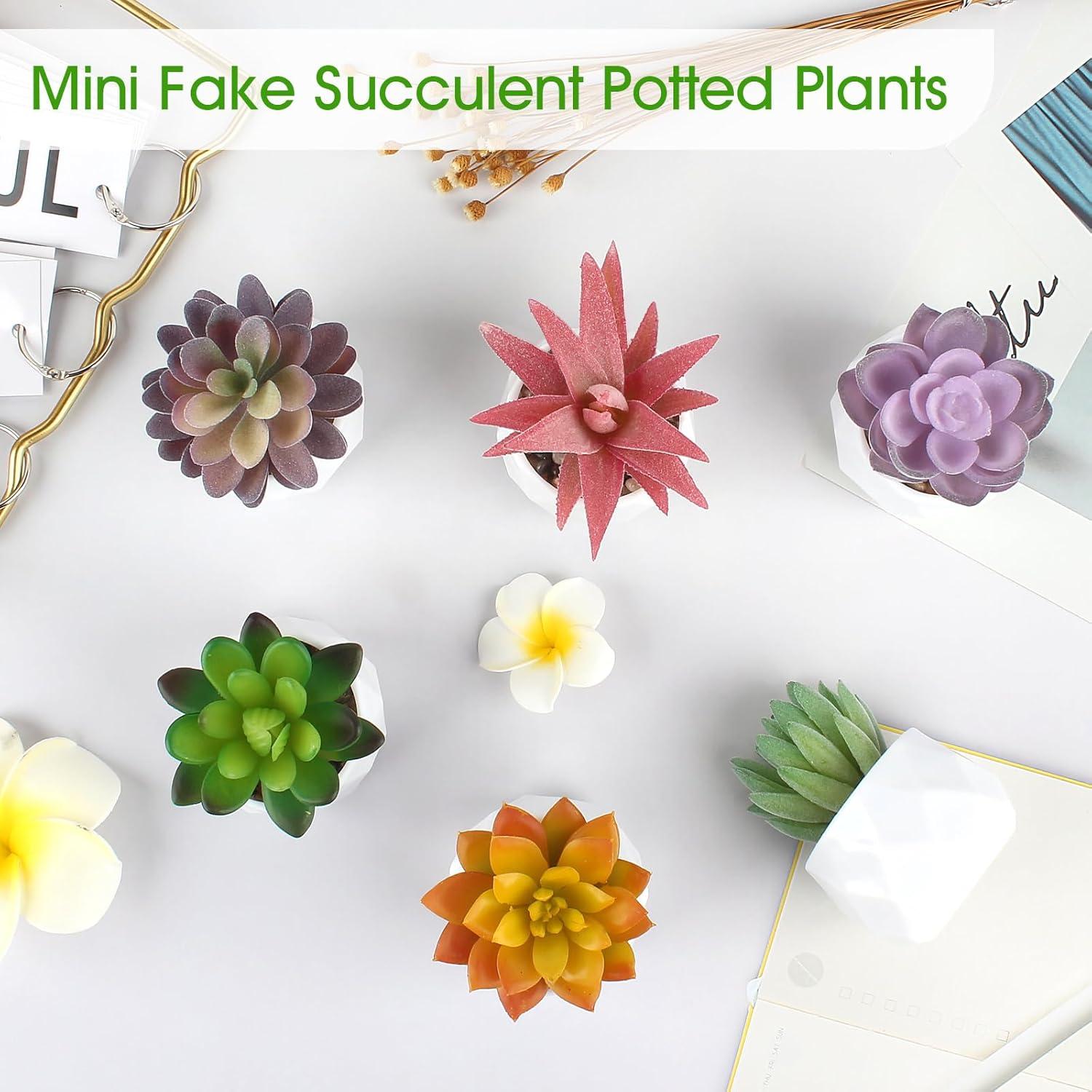 Conjunto de 6 Plantas Suculentas Artificiales ZINHO Decorativas