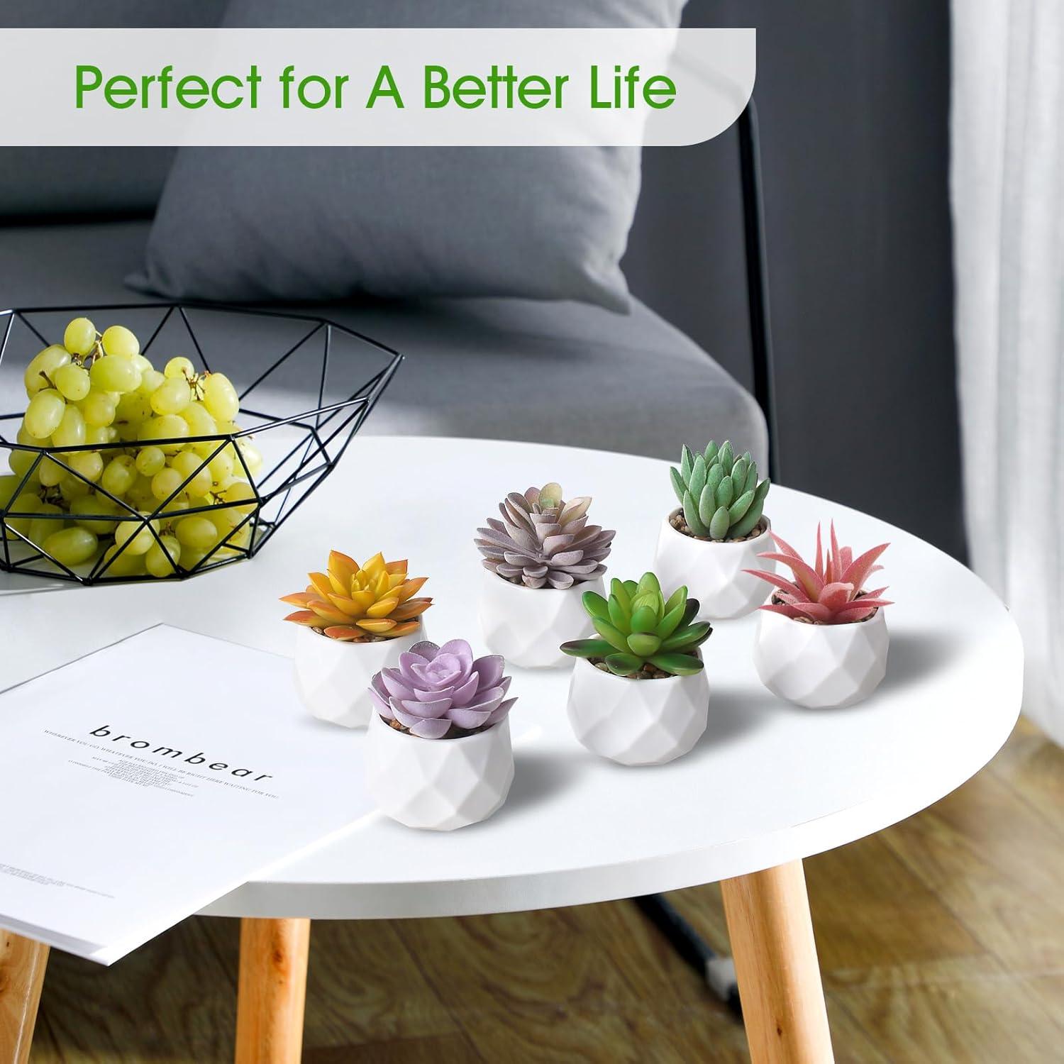 Conjunto de 6 Plantas Suculentas Artificiales ZINHO Decorativas