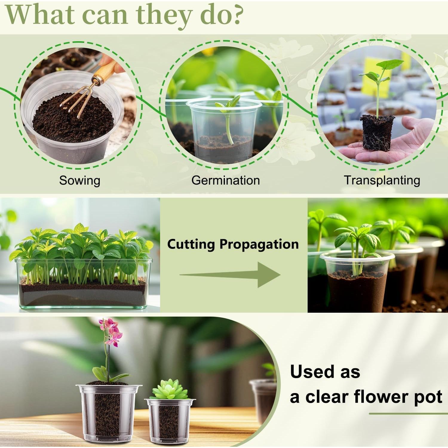 Macetas de Vivero Transparentes SupKing 12 Pcs 3.5/4/5 Pulgadas