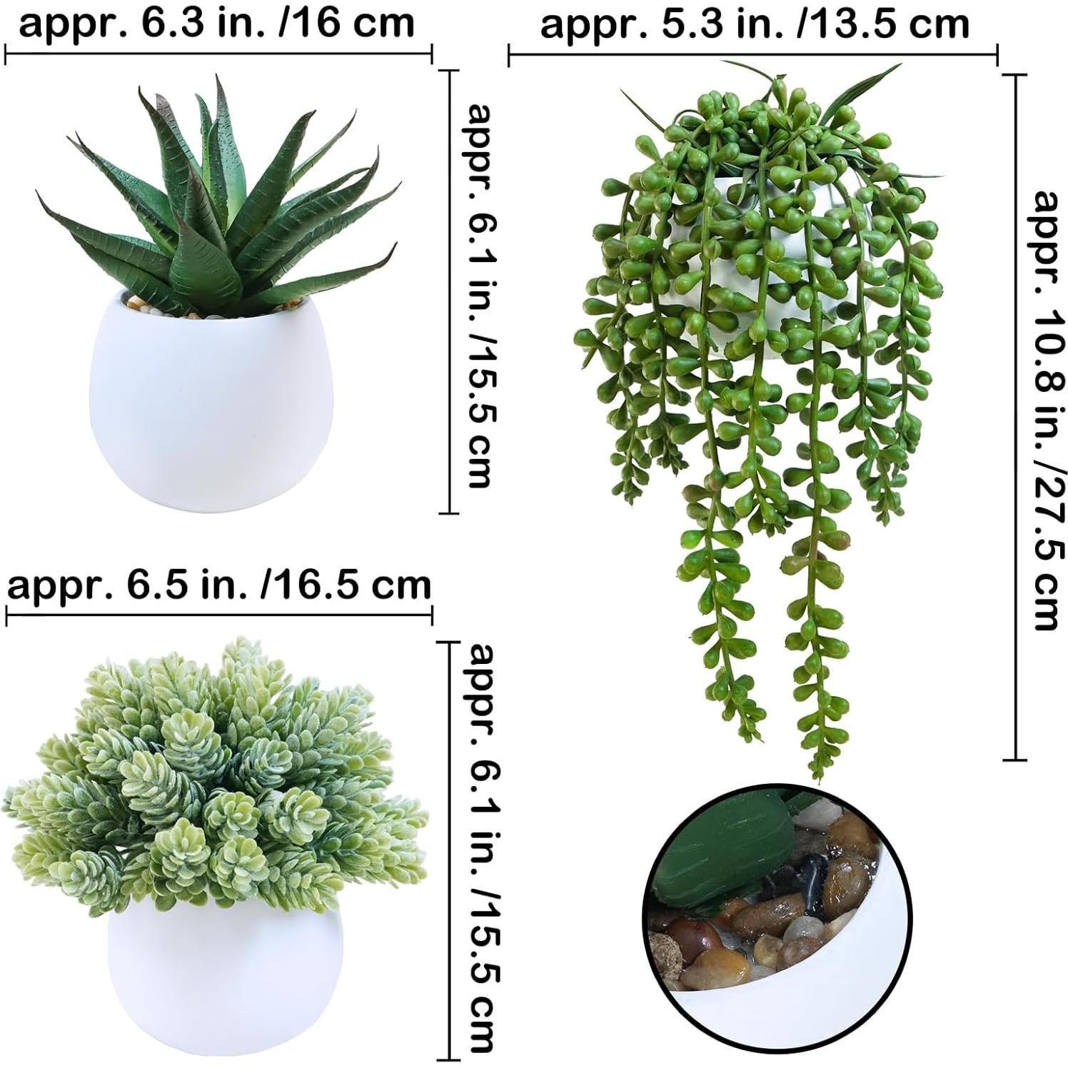 Juego de 3 Plantas Suculentas Artificiales Winlyn en Macetas Concreto