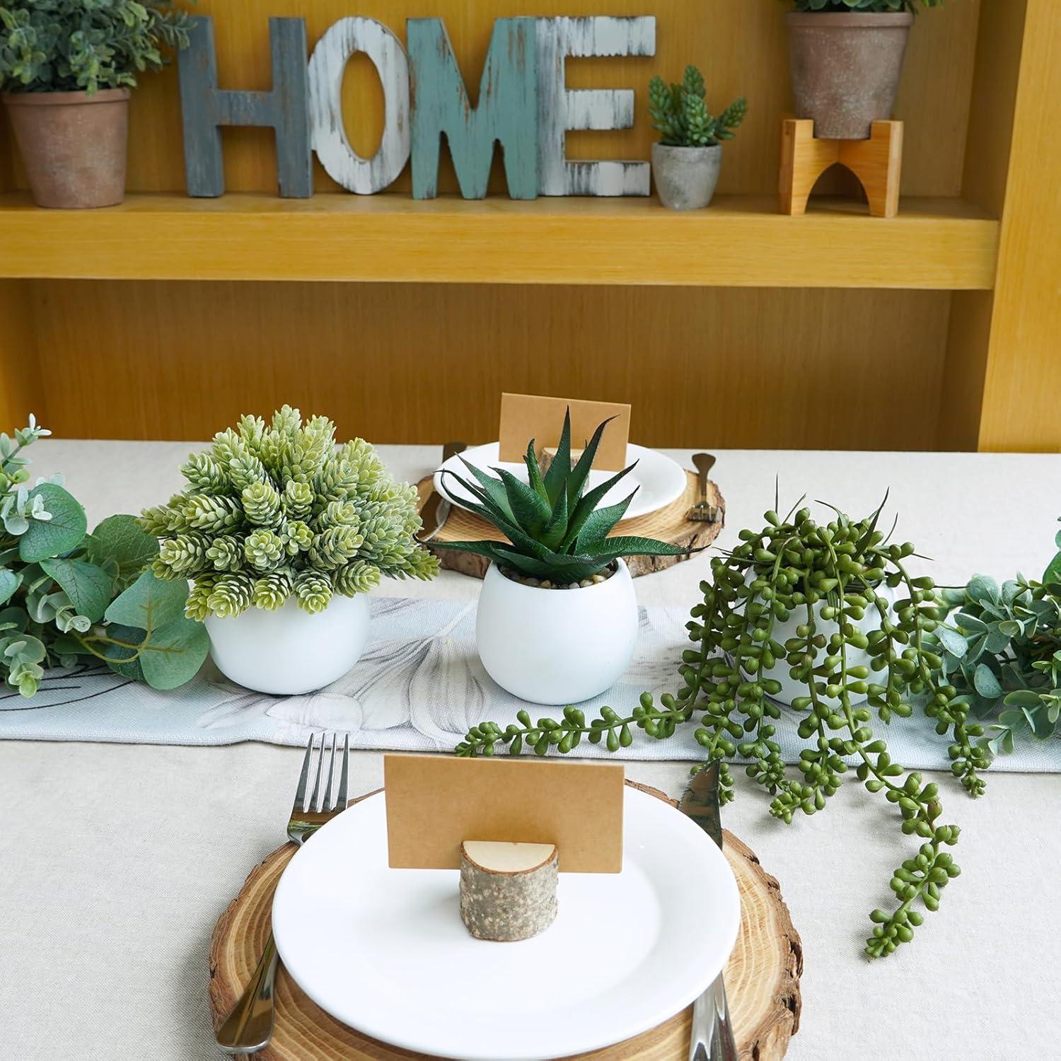 Juego de 3 Plantas Suculentas Artificiales Winlyn en Macetas Concreto