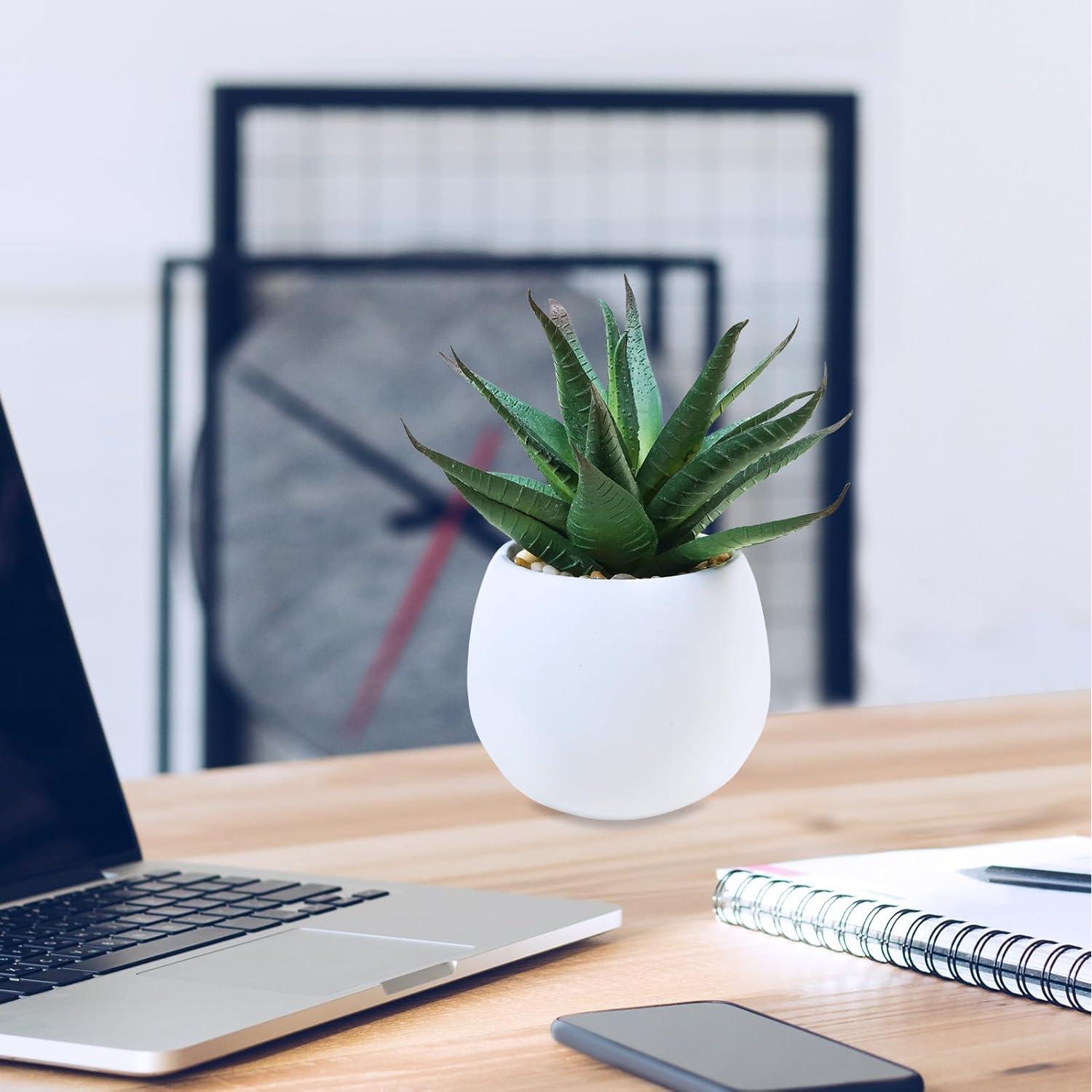 Juego de 3 Plantas Suculentas Artificiales Winlyn en Macetas Concreto