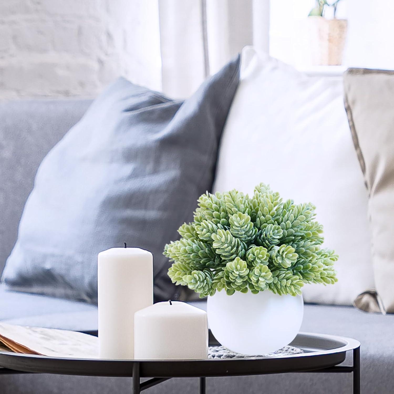 Juego de 3 Plantas Suculentas Artificiales Winlyn en Macetas Concreto