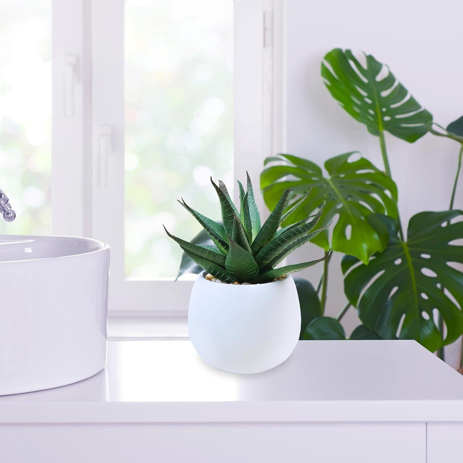 Juego de 3 Plantas Suculentas Artificiales Winlyn en Macetas Concreto