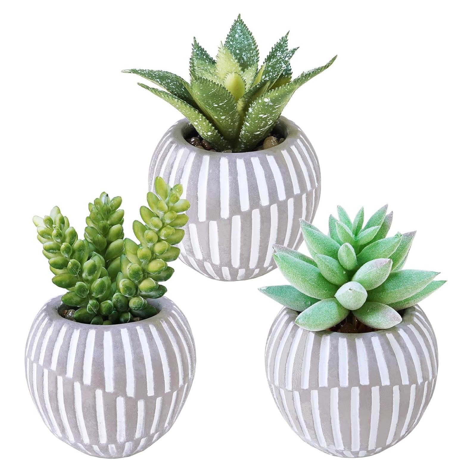 Winlyn Set de 3 Suculentas Artificiales en Macetas Grises