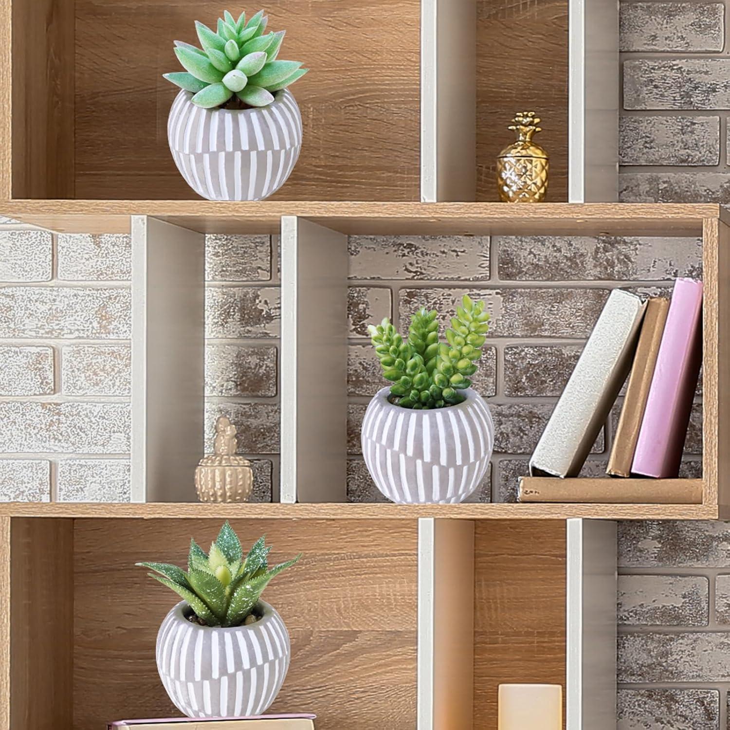 Winlyn Set de 3 Suculentas Artificiales en Macetas Grises