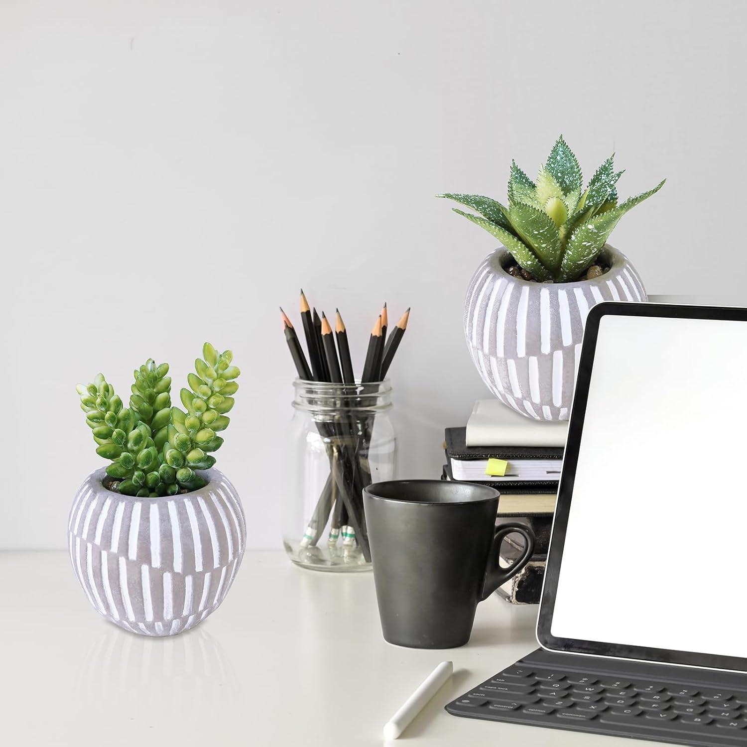 Winlyn Set de 3 Suculentas Artificiales en Macetas Grises