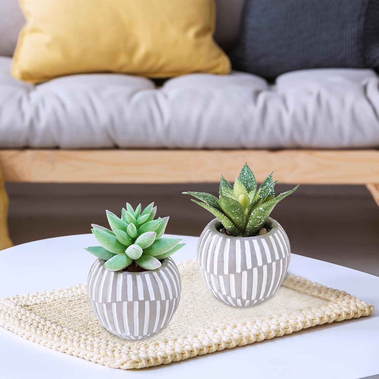 Winlyn Set de 3 Suculentas Artificiales en Macetas Grises