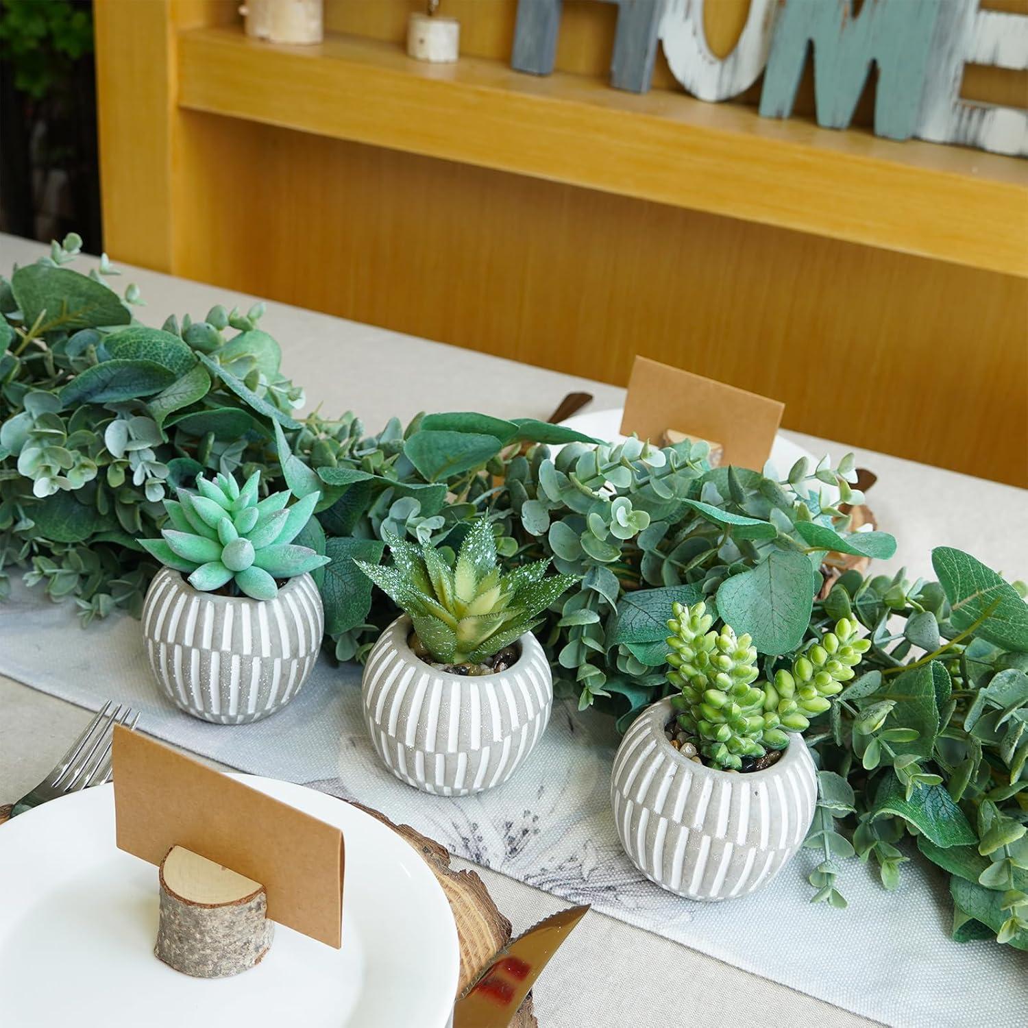 Winlyn Set de 3 Suculentas Artificiales en Macetas Grises