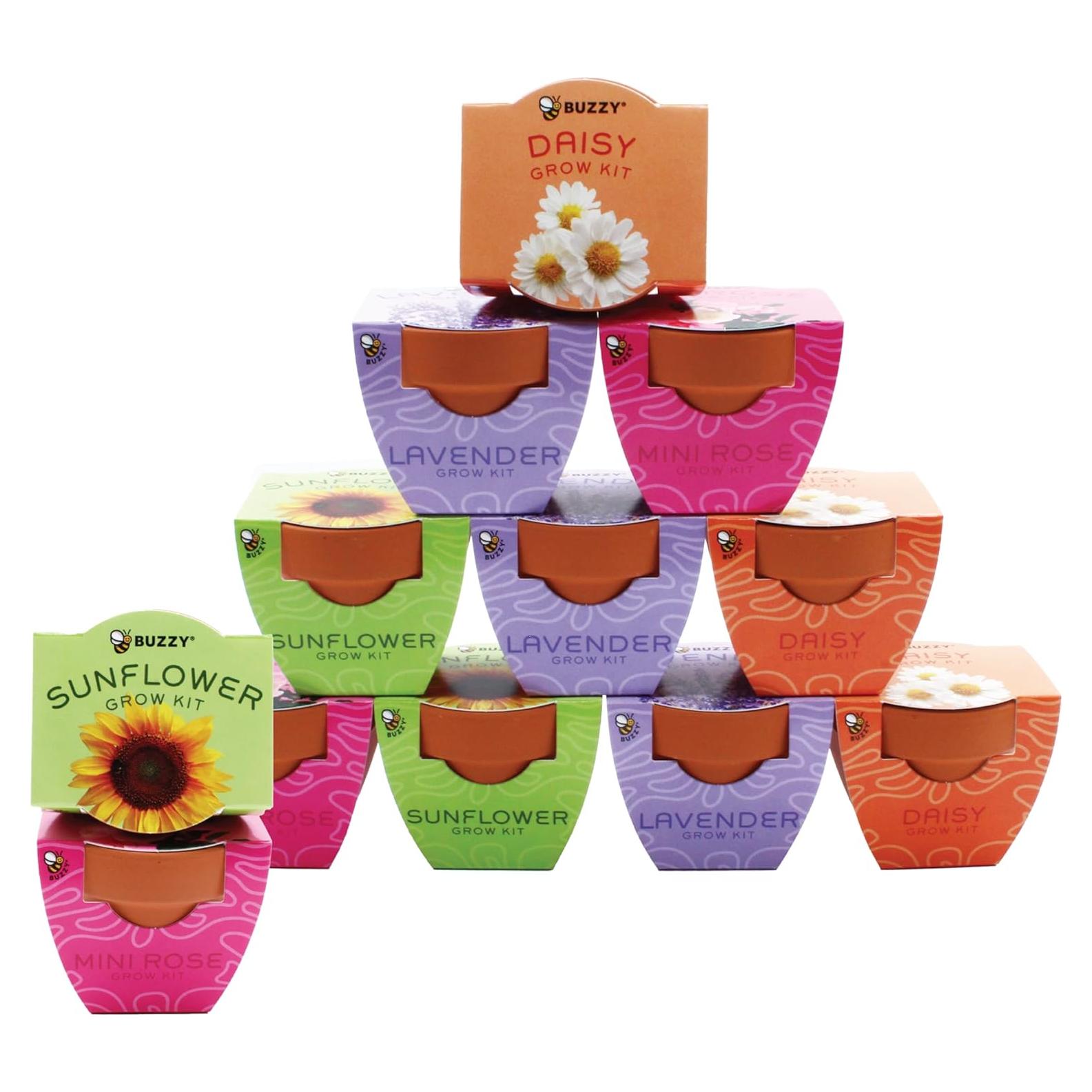 Kit de Cultivo BUZZY 12 Semillas y Macetas de Terracota