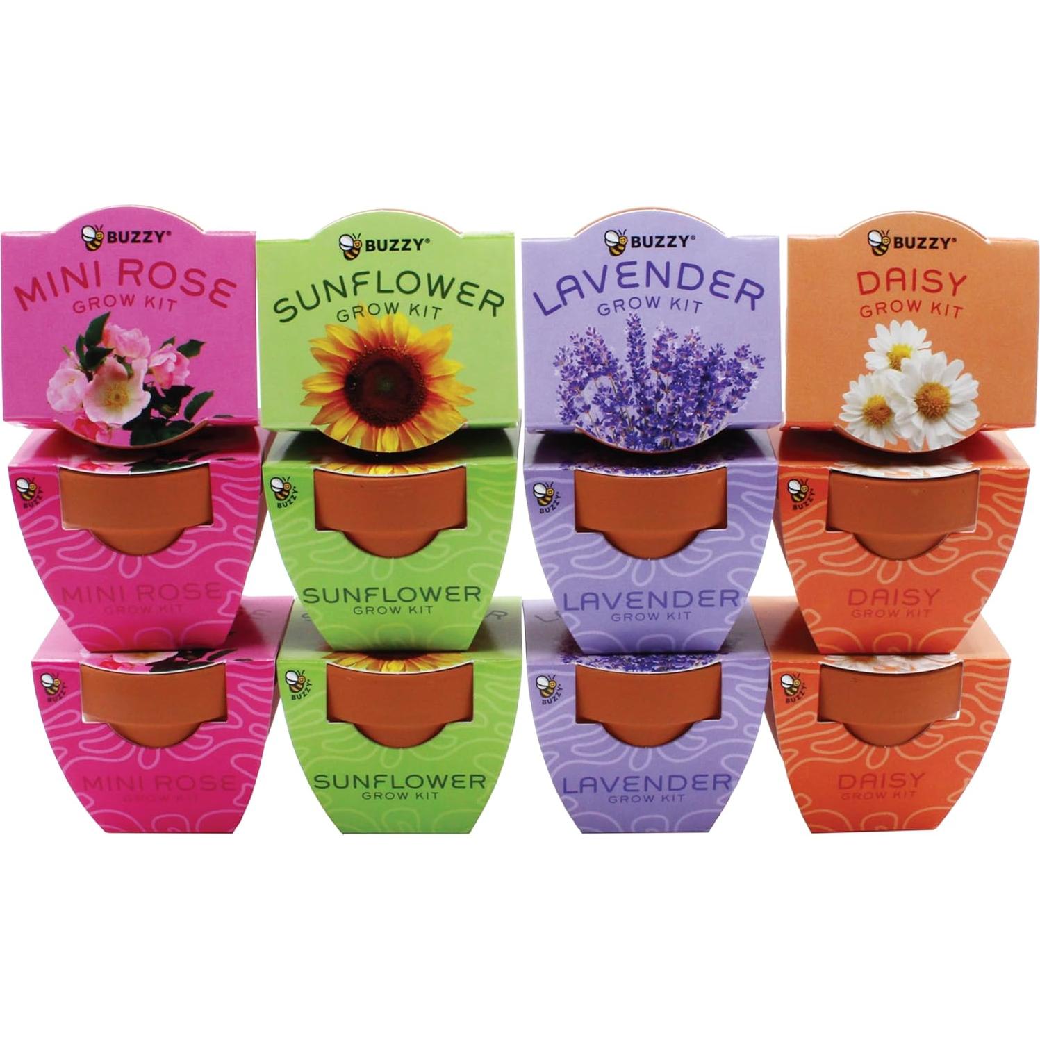Kit de Cultivo BUZZY 12 Semillas y Macetas de Terracota