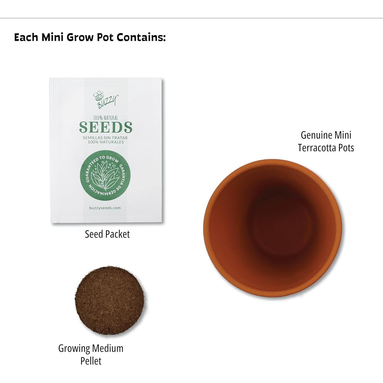 Kit de Cultivo BUZZY 12 Semillas y Macetas de Terracota