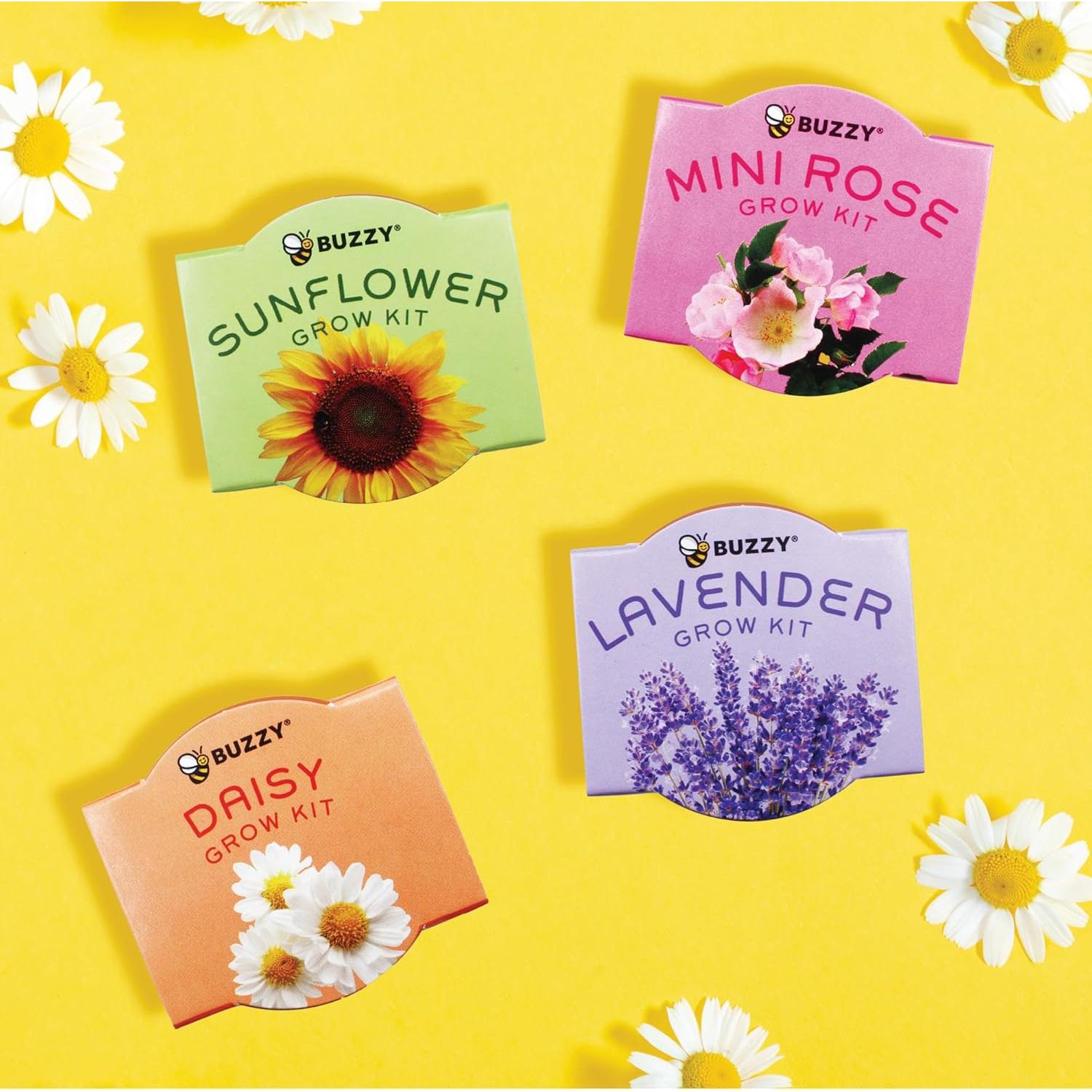 Kit de Cultivo BUZZY 12 Semillas y Macetas de Terracota