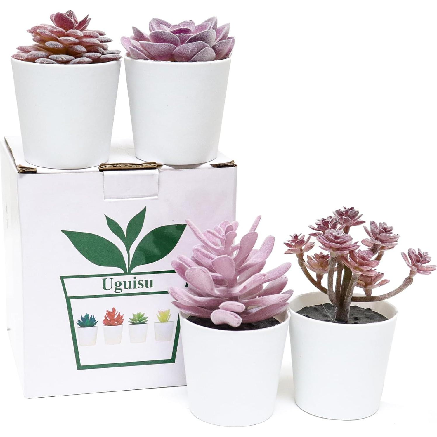 Juego de 4 Macetas Mini Suculentas Falsas Uguisu Rosa Púrpura
