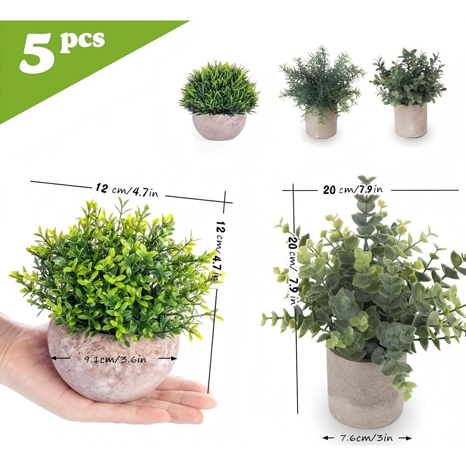 Set de 5 Plantas Artificiales Eucalipto Lemonfilter Verde