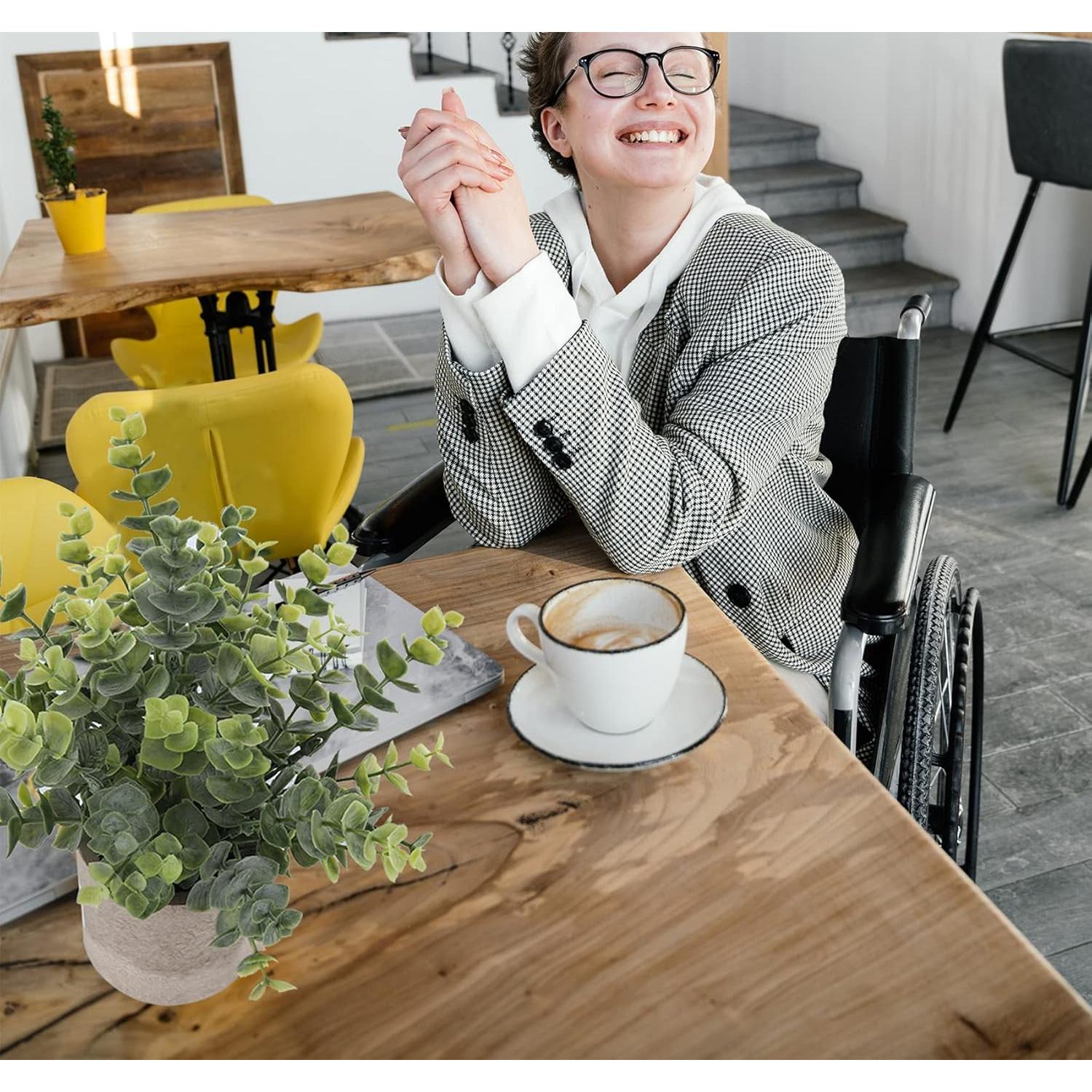 Set de 5 Plantas Artificiales Eucalipto Lemonfilter Verde