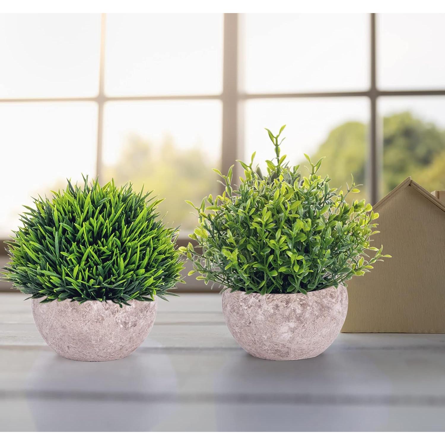 Set de 5 Plantas Artificiales Eucalipto Lemonfilter Verde