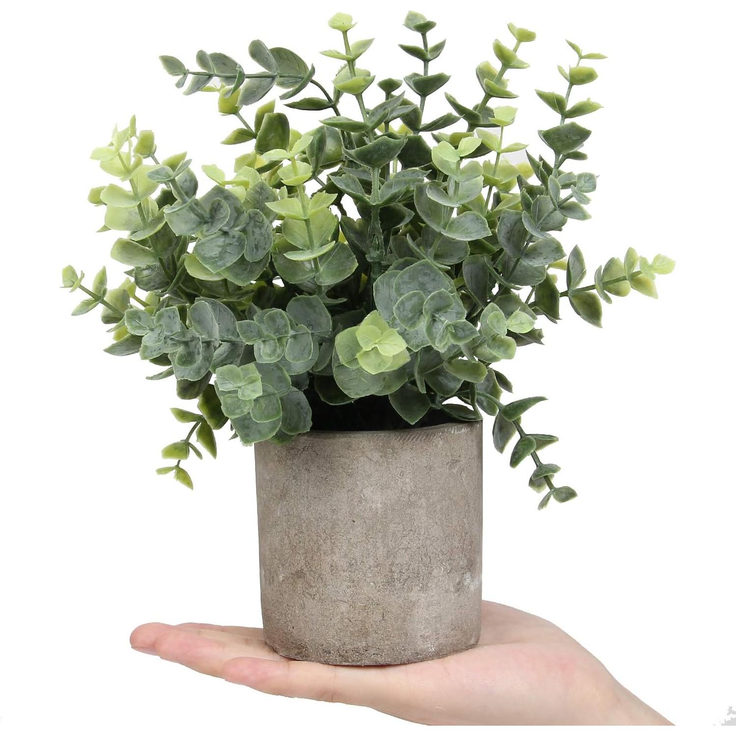 Flojery Mini Plantas Artificiales en Macetas 21-23 cm Eucalipto