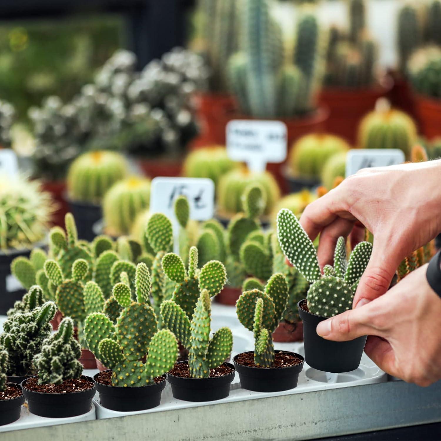 Macetas de Plástico KINGLAKE 100 Pcs 7.62 cm para Suculentas