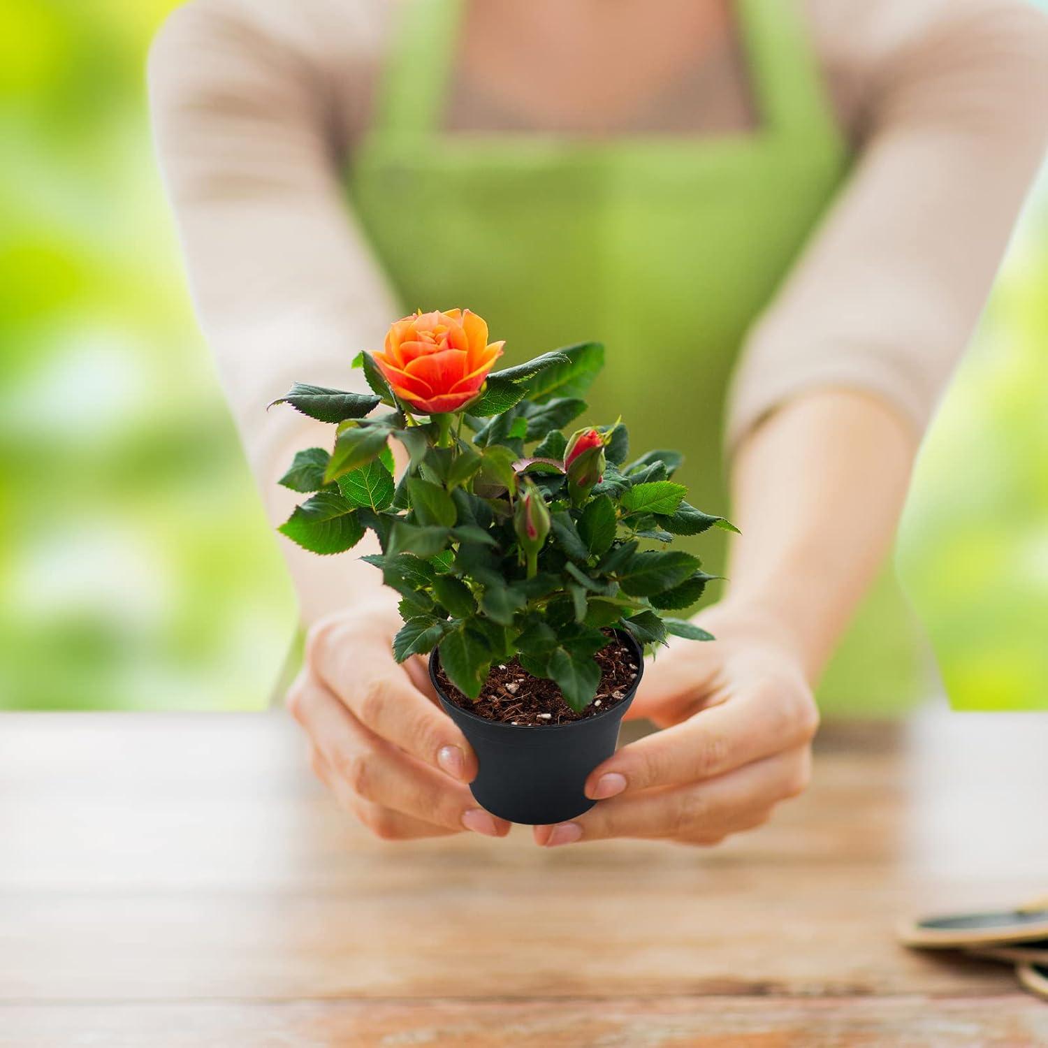 Macetas de Plástico KINGLAKE 100 Pcs 7.62 cm para Suculentas