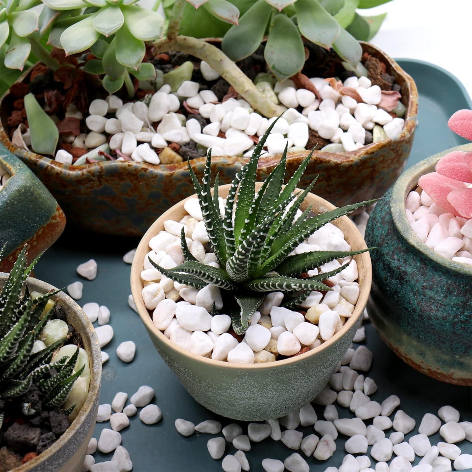 Piedras Decorativas Blancas Pulidas 0.5 cm 4 kg - Jardín