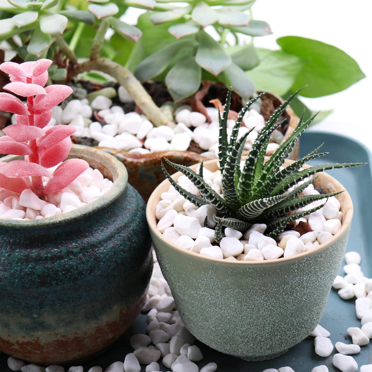 Piedras Decorativas Blancas Pulidas 0.5 cm 4 kg - Jardín