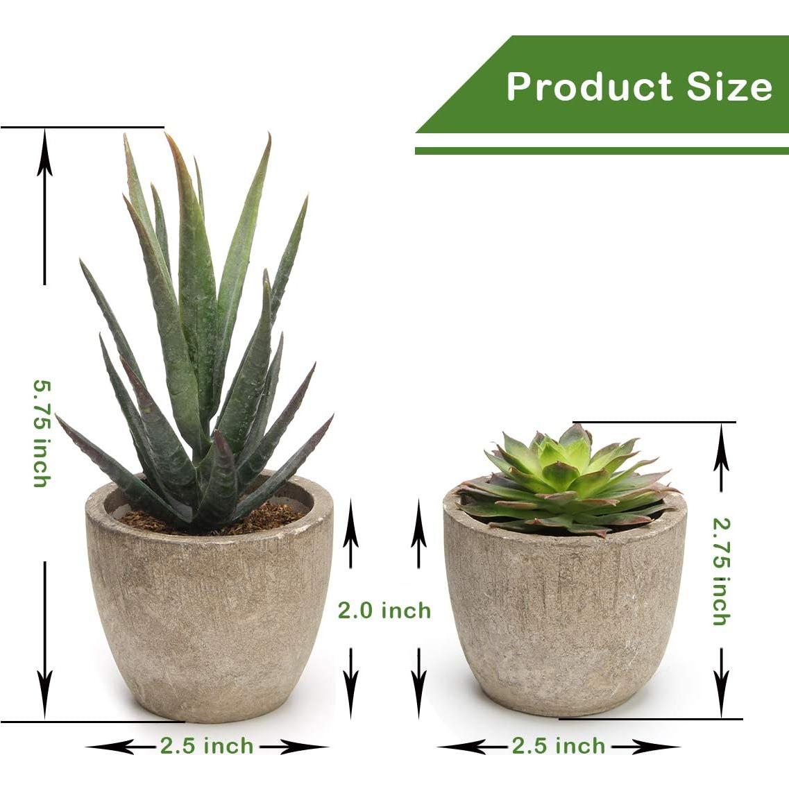 Conjunto de 5 Plantas Suculentas Artificiales Coitak en Macetas