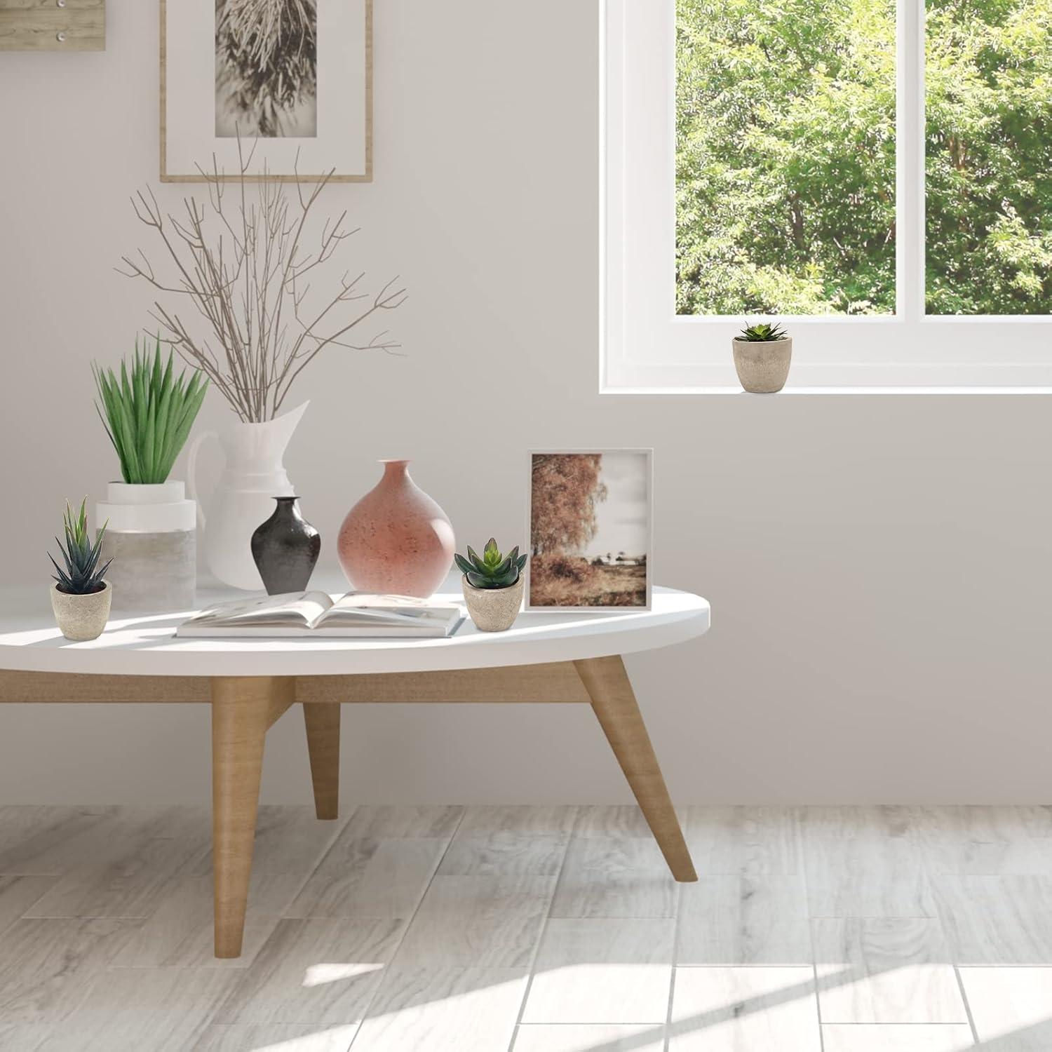 Conjunto de 5 Plantas Suculentas Artificiales Coitak en Macetas