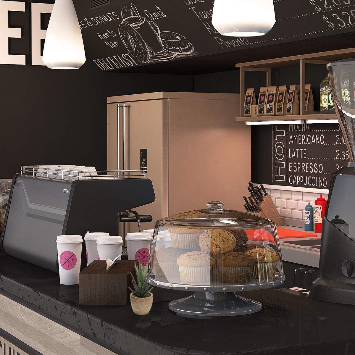 Conjunto de 5 Plantas Suculentas Artificiales Coitak en Macetas