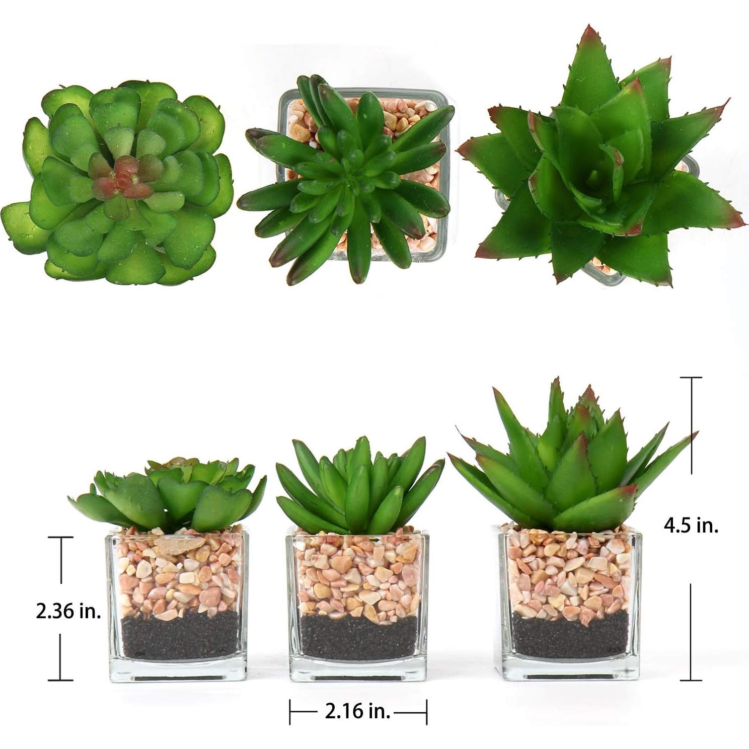 Briful Mini Suculentas Artificiales en Macetas de Vidrio - 3 Piezas