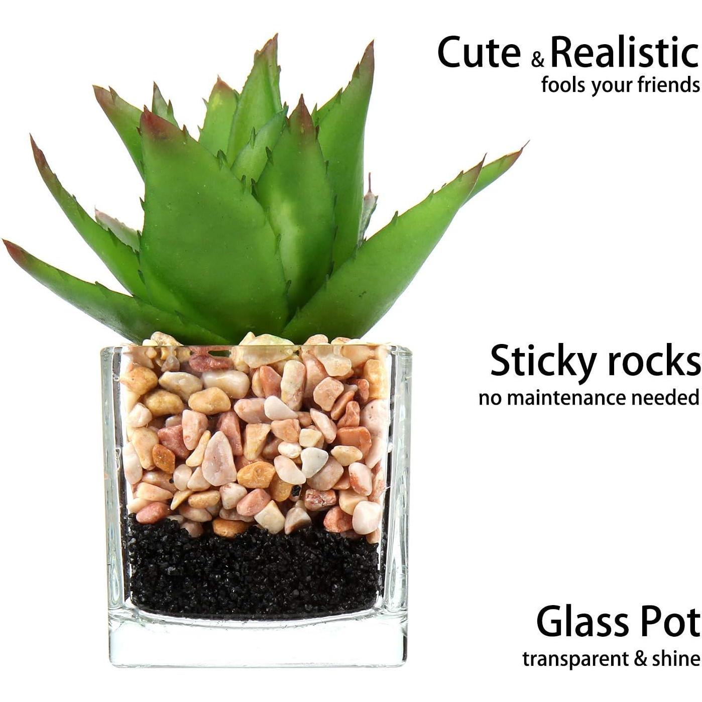 Briful Mini Suculentas Artificiales en Macetas de Vidrio - 3 Piezas