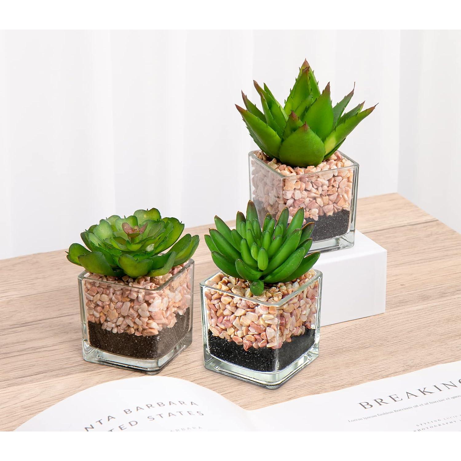Briful Mini Suculentas Artificiales en Macetas de Vidrio - 3 Piezas